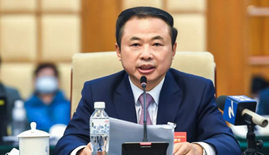 两会季丨围绕新能源工业，，，，，张天任代表提交这些建议
