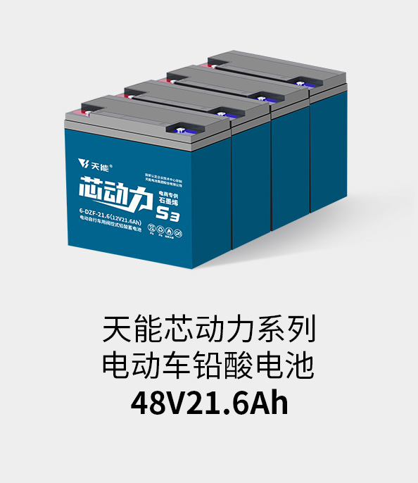 亚美国际电池48v20ah