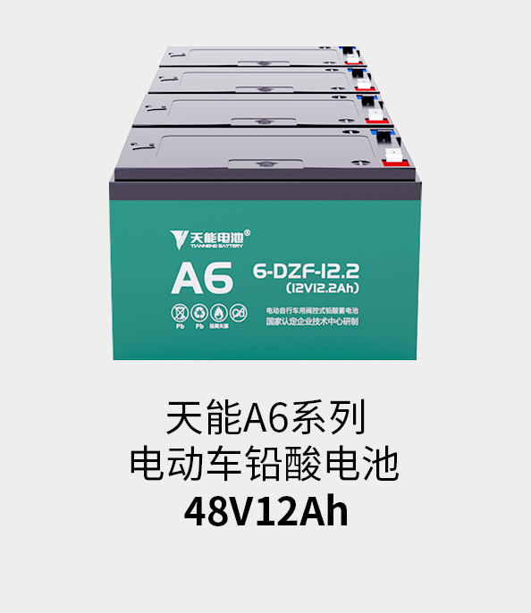 亚美国际电池48v12ah