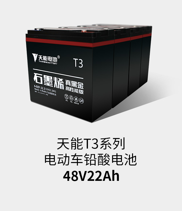 亚美国际T3系列48v22ah