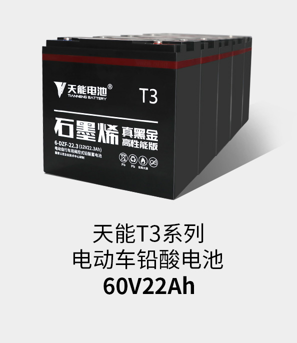 亚美国际T3系列60v22ah